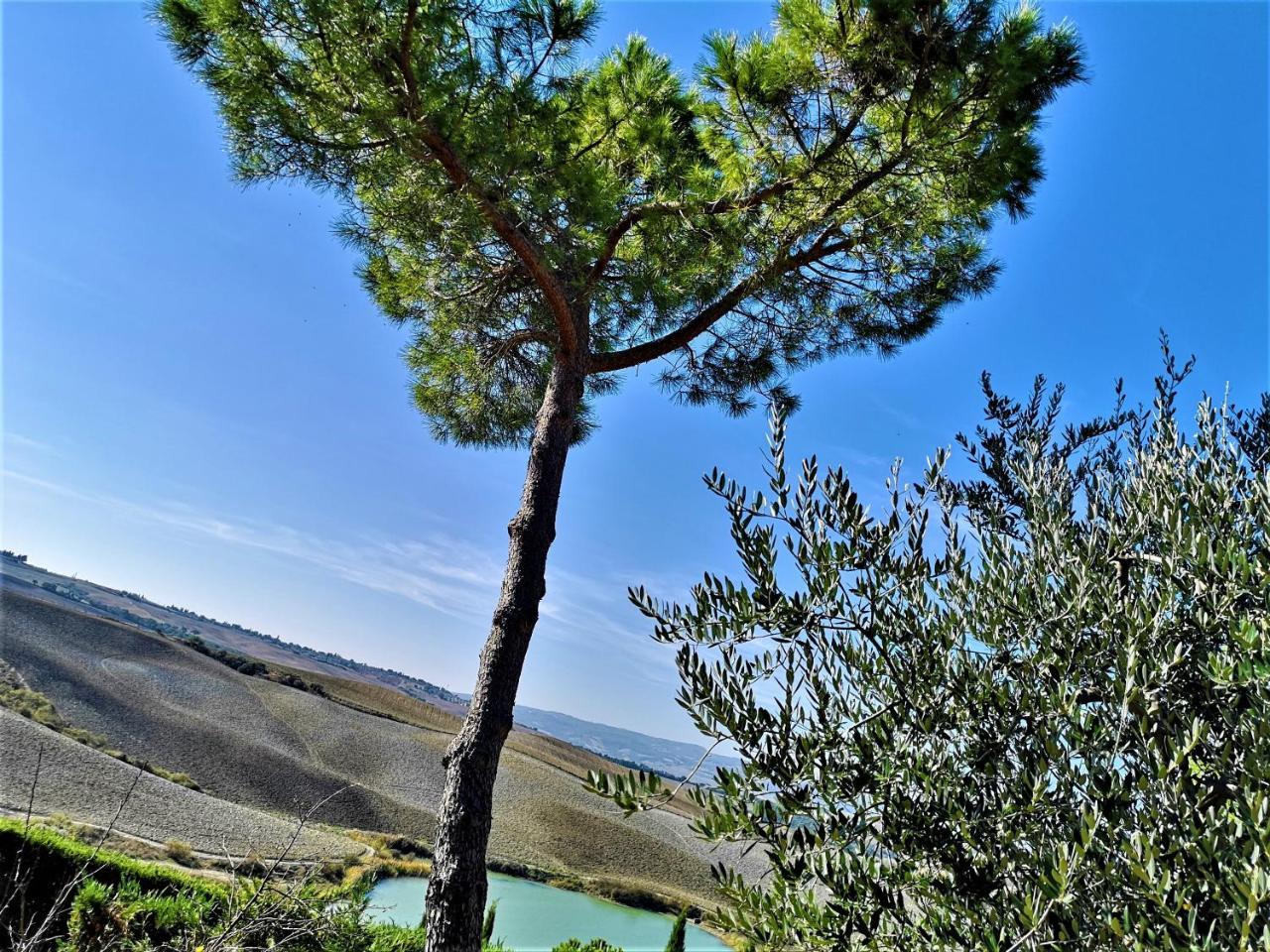 Agriturismo Palazzo Conti - B Pienza Exterior photo